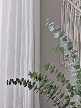 Load image into Gallery viewer, 5mm Natural Braided Macrame Cotton Cord